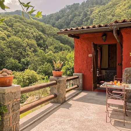 Agriturismo Pera Di Basso Casamicciola Terme Ngoại thất bức ảnh
