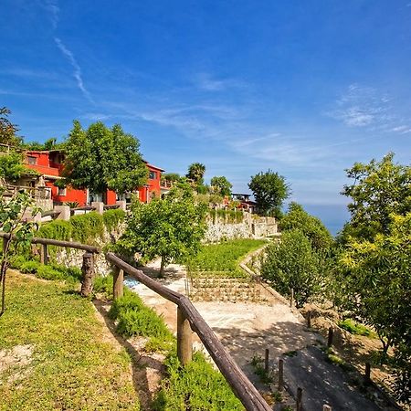 Agriturismo Pera Di Basso Casamicciola Terme Ngoại thất bức ảnh
