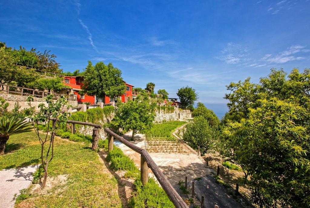 Agriturismo Pera Di Basso Ischia Ngoại thất bức ảnh