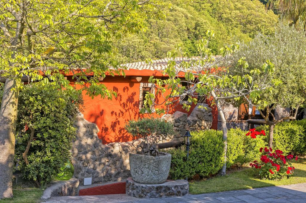 Agriturismo Pera Di Basso Ischia Ngoại thất bức ảnh