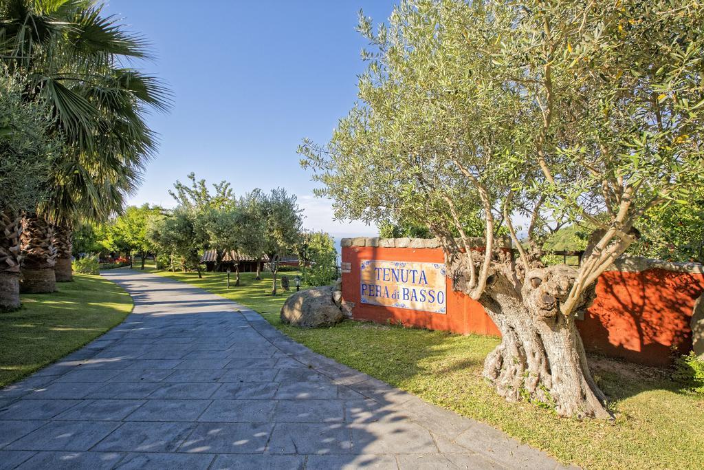 Agriturismo Pera Di Basso Ischia Ngoại thất bức ảnh