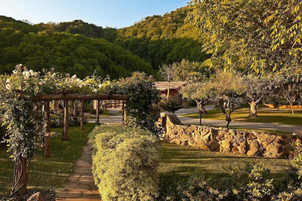 Agriturismo Pera Di Basso Casamicciola Terme Ngoại thất bức ảnh