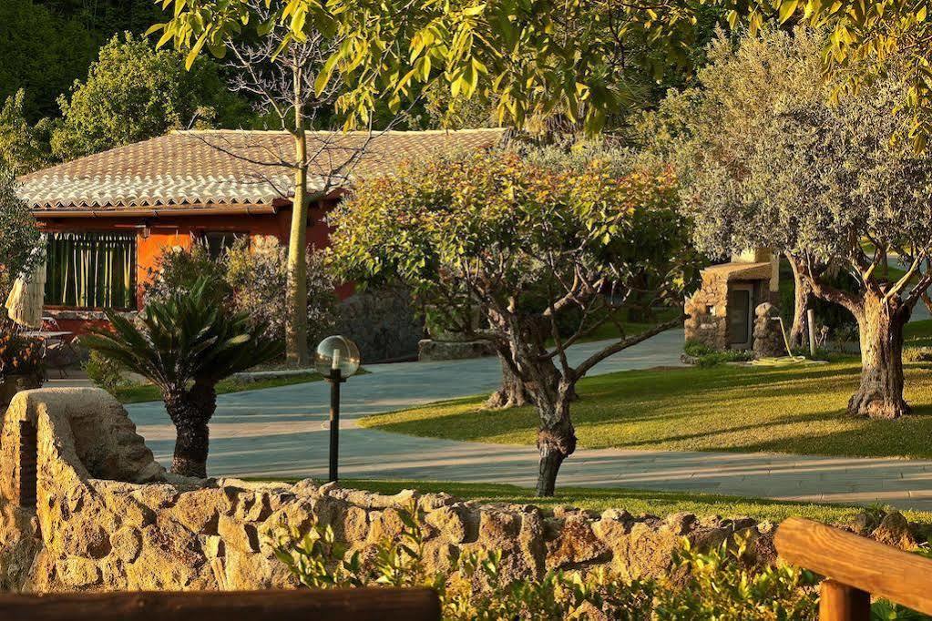 Agriturismo Pera Di Basso Casamicciola Terme Ngoại thất bức ảnh